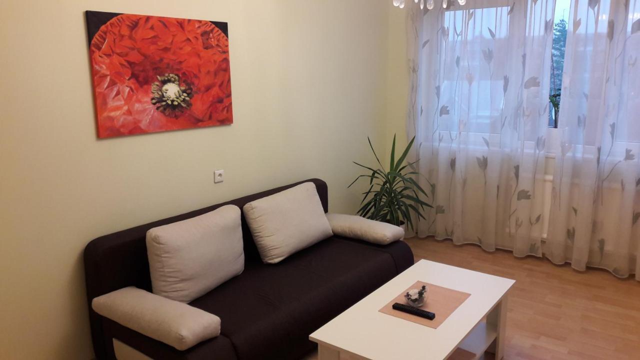 Grazinos Apartamentai Panevezys Bagian luar foto